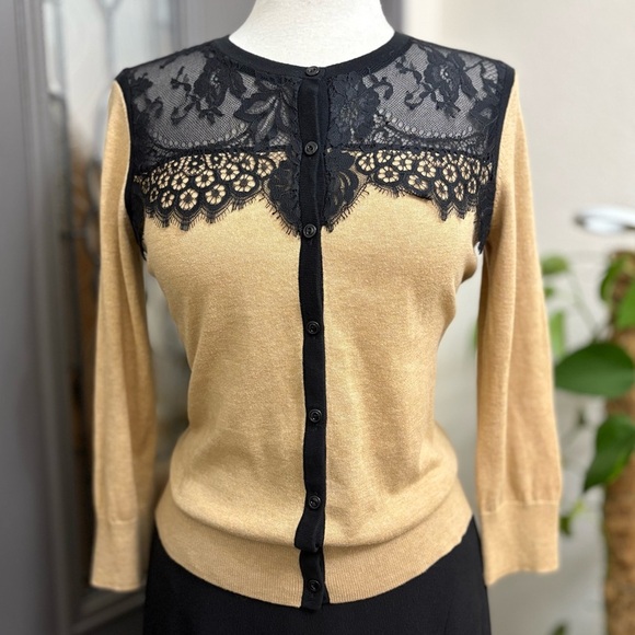 LOFT Chic Beige Knit Cardigan with Black Lace Overlay and Button Front | Size M - Picture 1 of 6